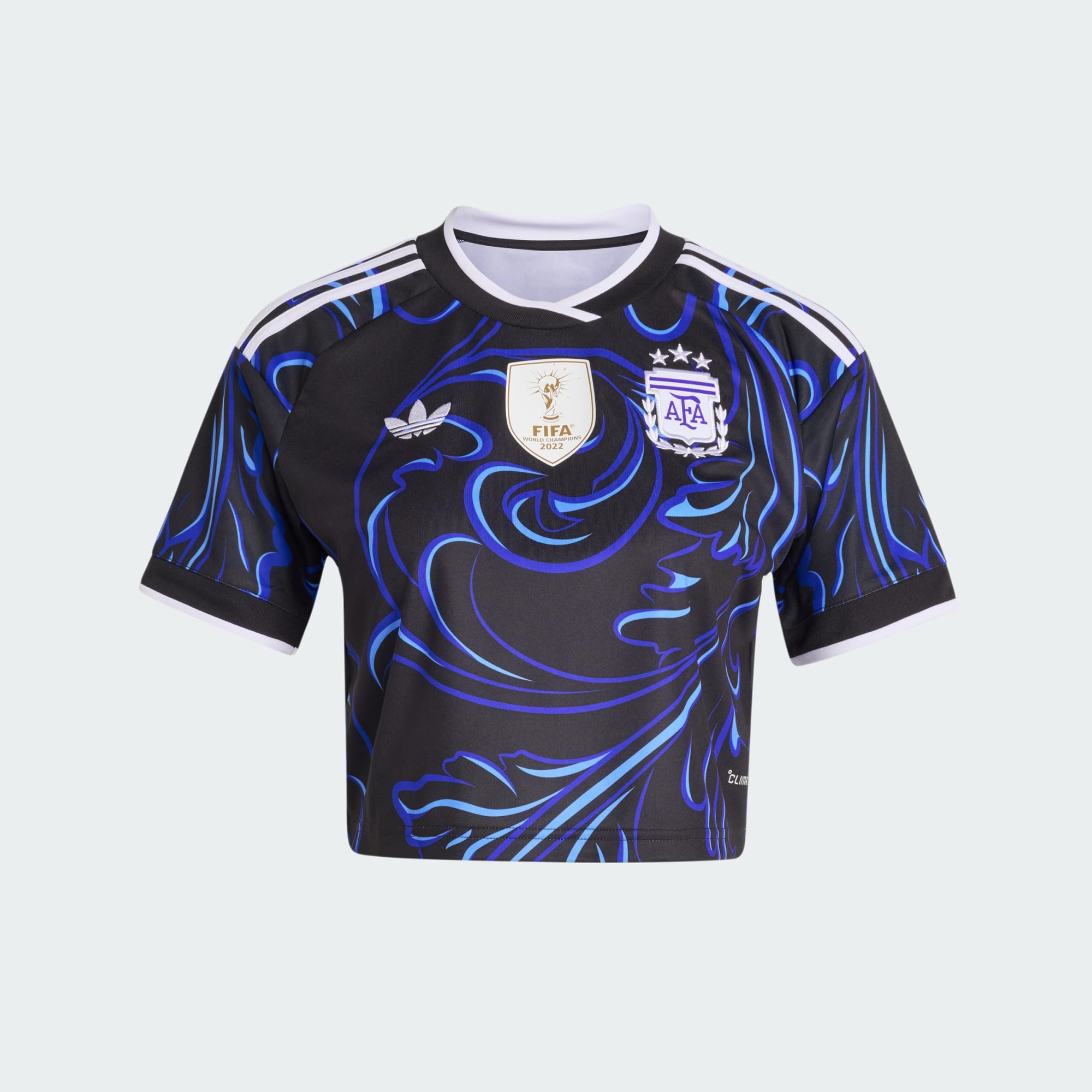 Camiseta Corta Alternativa Selección Argentina 26