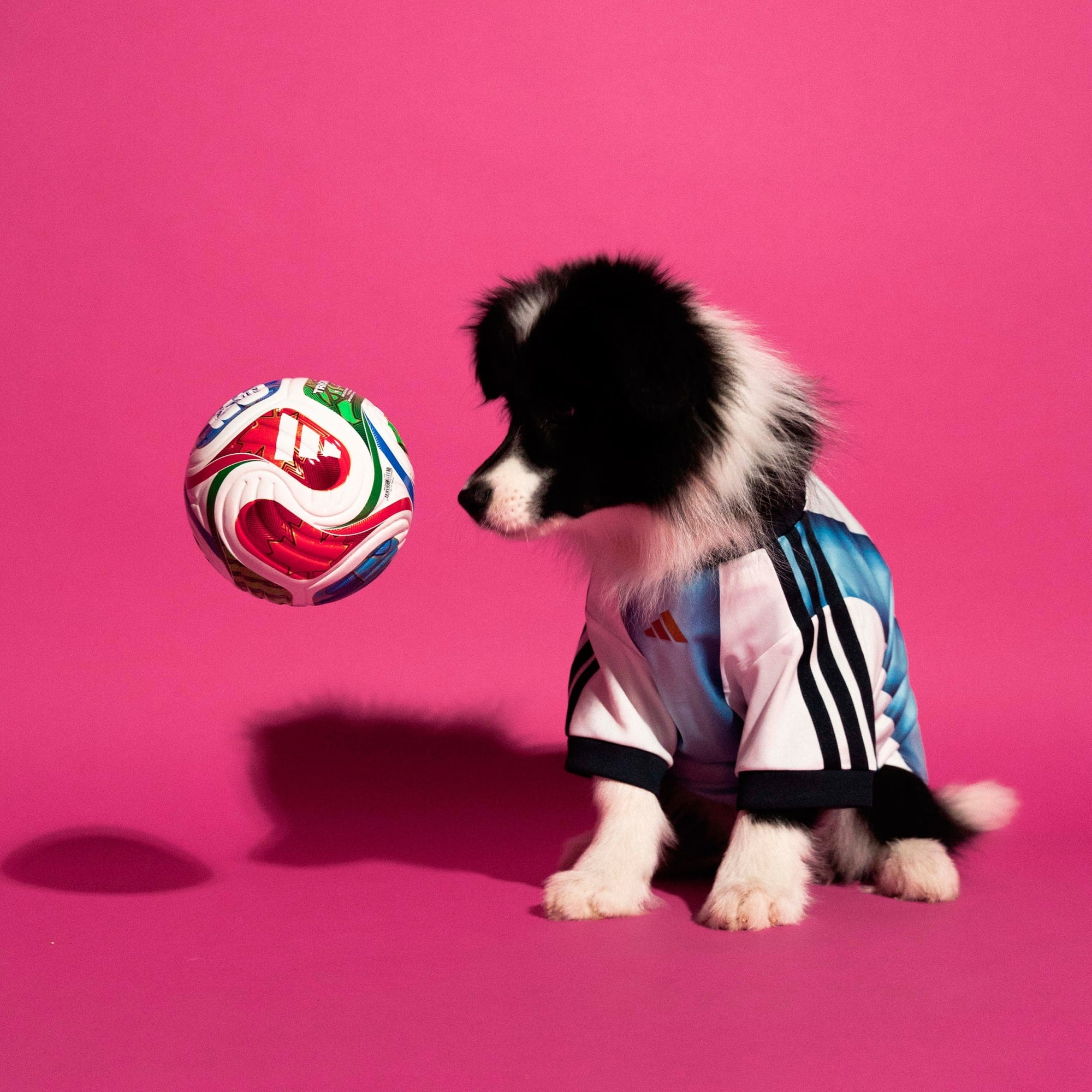 Camiseta para Mascotas Argentina
