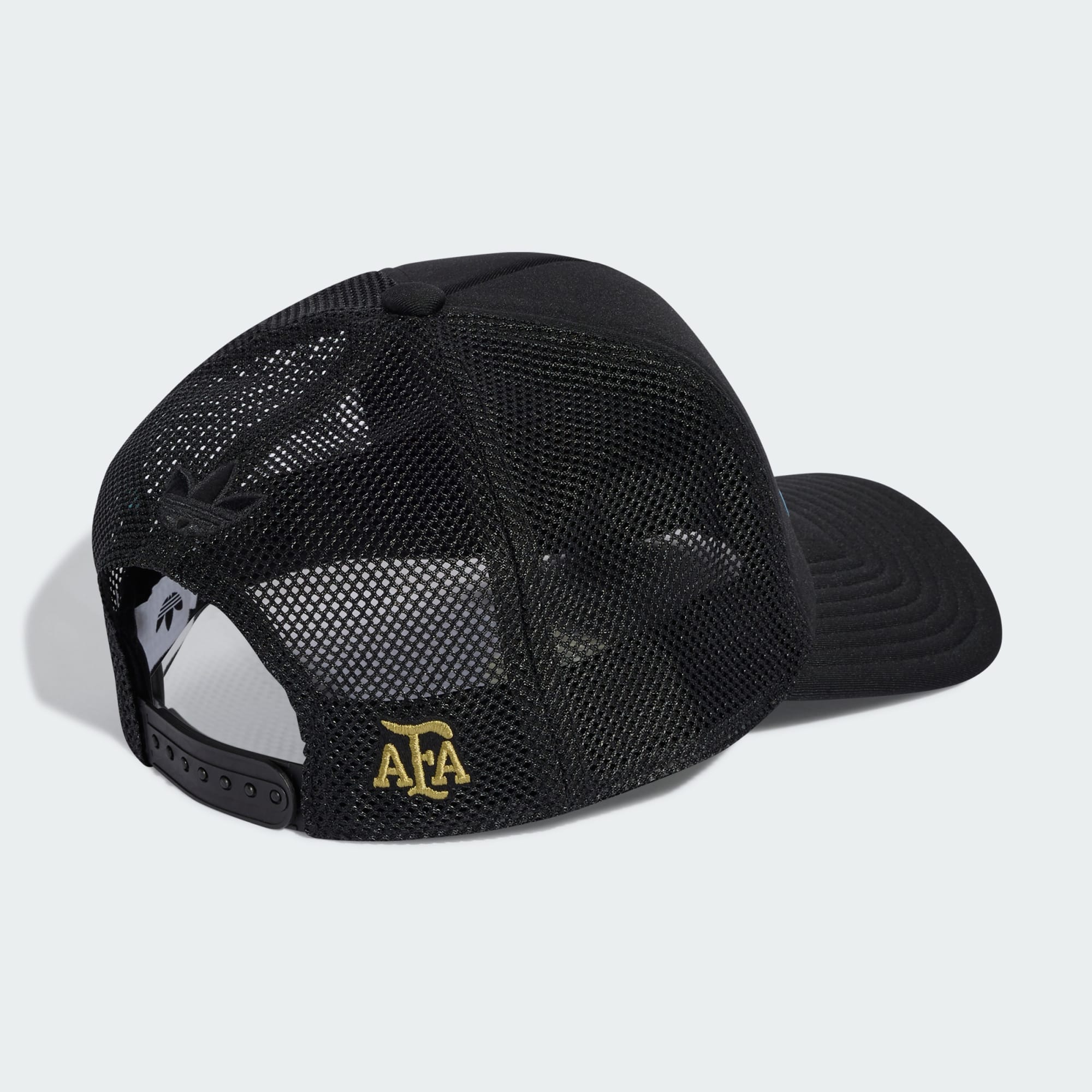 Gorra Trucker Selección Argentina 26