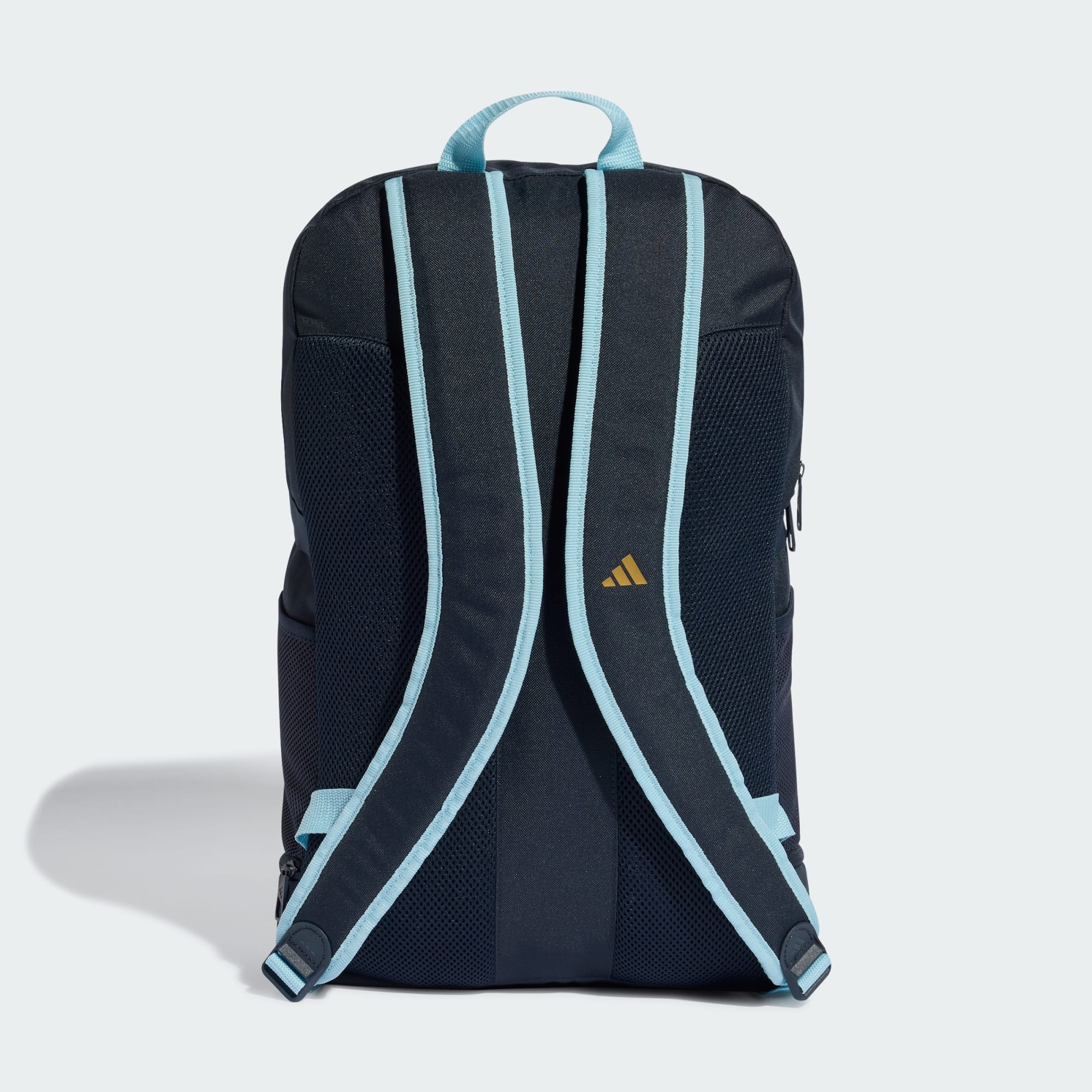 Mochila Selección Argentina 26